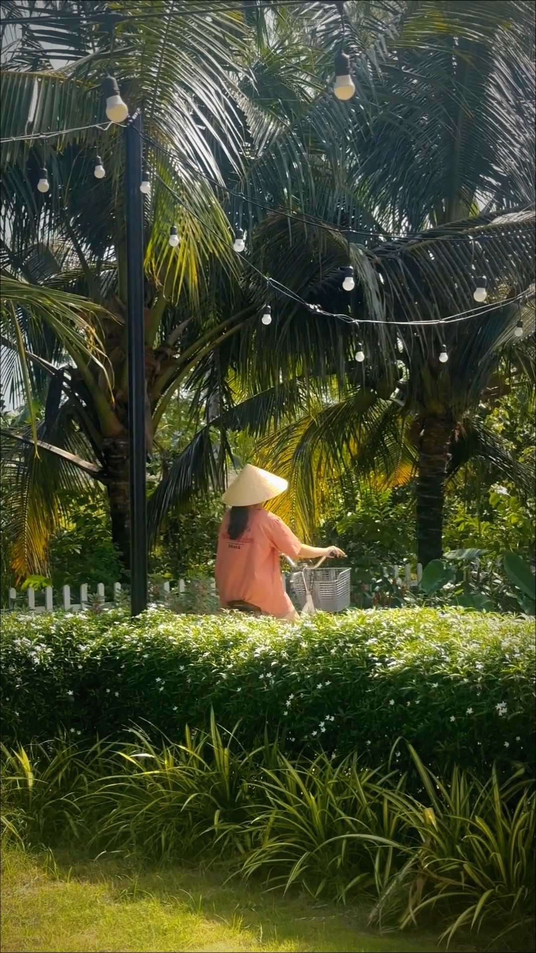 Chiếc xe đạp nhỏ trên con đường bên hàng dừa xanh mát