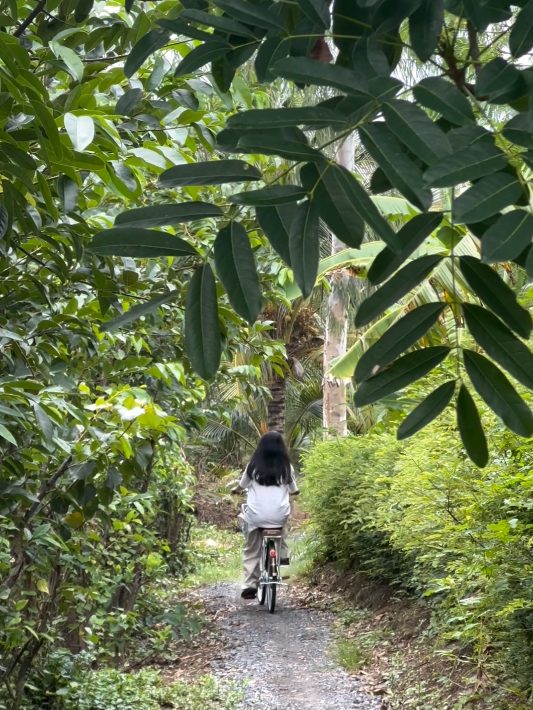 Hoạt động đạp xe tại Go Cong Hideaway dễ dàng lồng ghép vào lịch trình tour