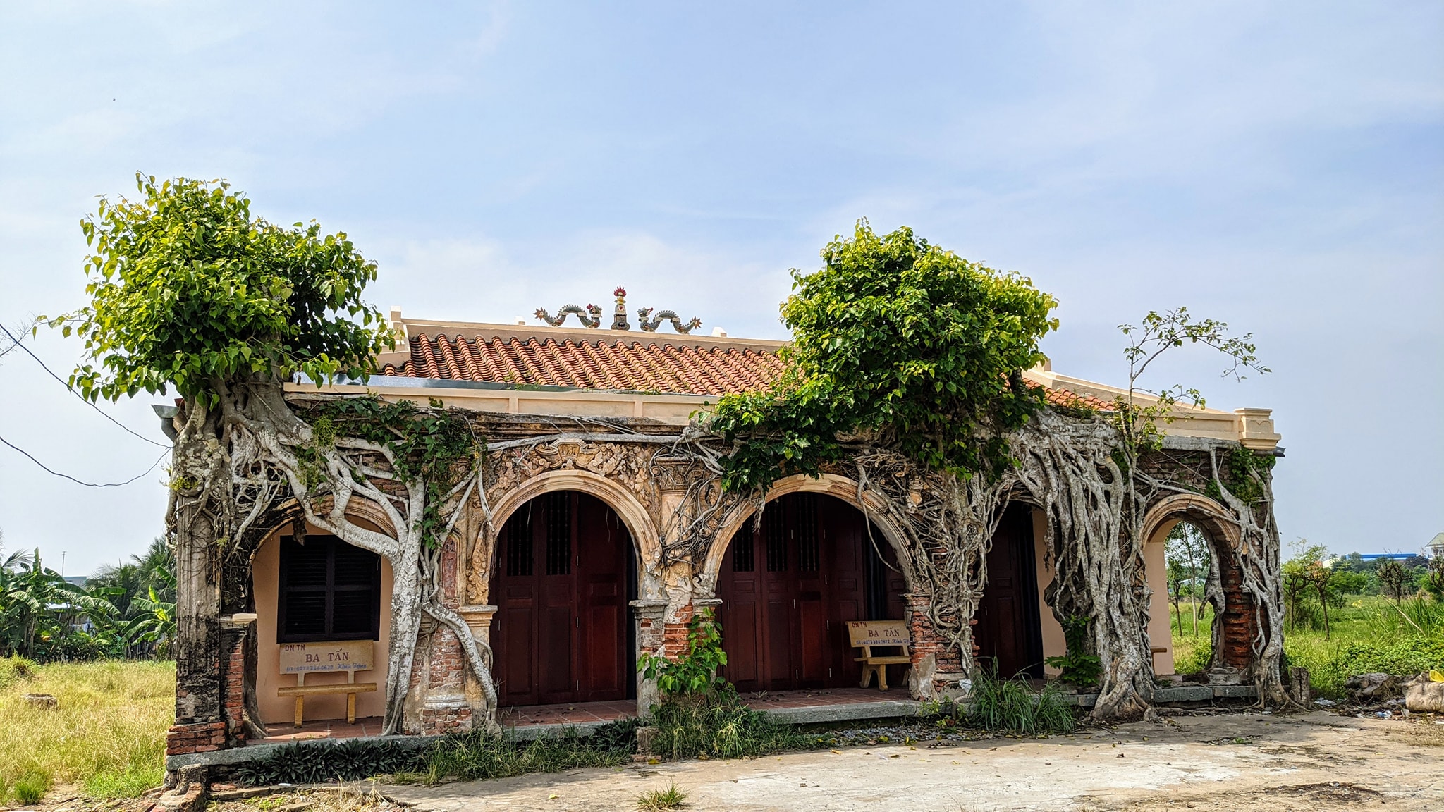 Chụp ảnh tại Đình Tân Đông